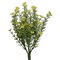 Set of 6 Decorative Yellow Astilbe Floral Bush with Clustered Blooms and Green Foliage for Vase Arrangement and Home Styling Accent